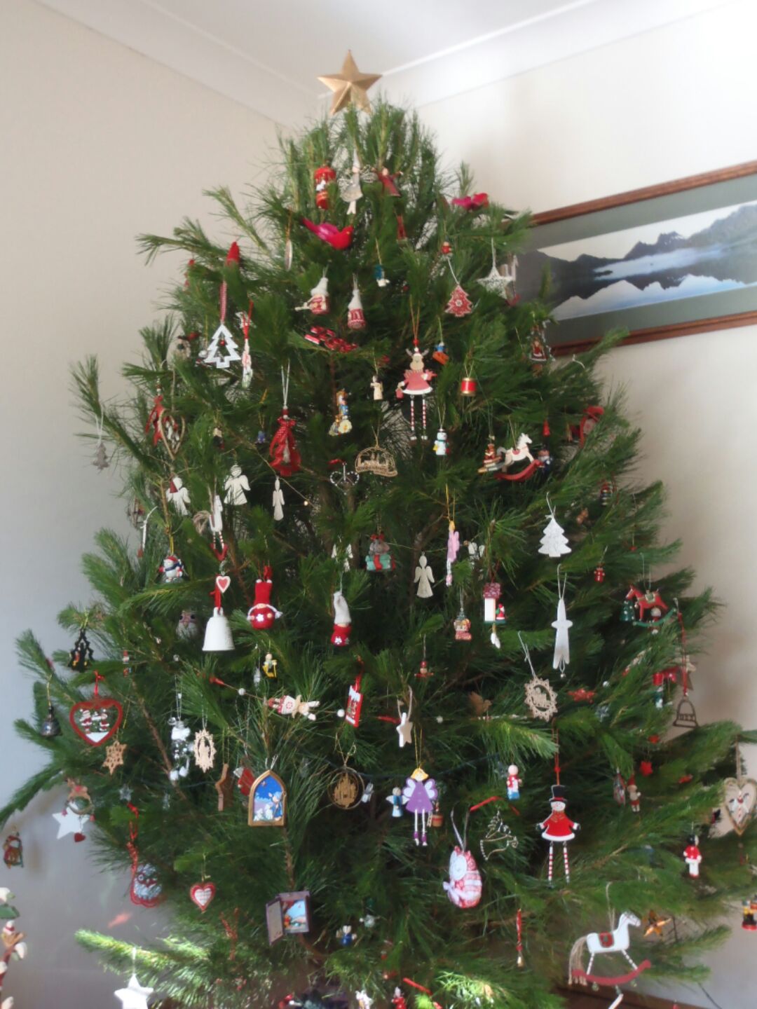 Decorated Live Tree